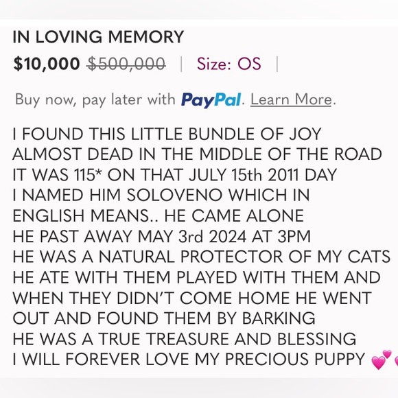 MY PUPPY SOLOVENO - Picture 4 of 4